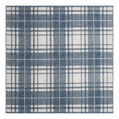 Tereon Plaid Machine Made Power Loom Polypropylene Plastic Indoor/Outdoor Area Rug in Blue/White