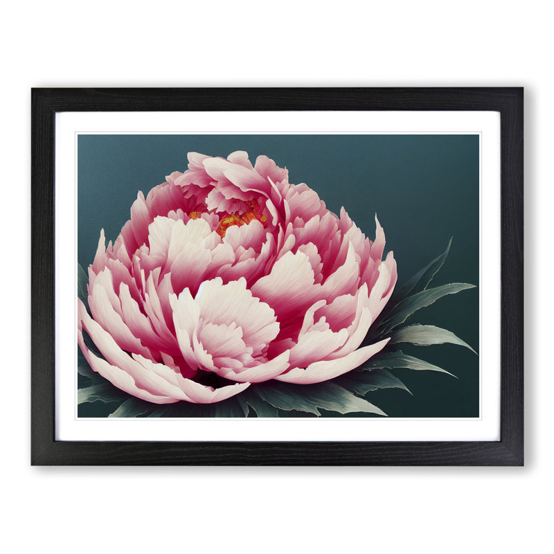 King Peony Flower - Single Picture Frame Painting, Black, 46cm H x 64cm W x 2cm D