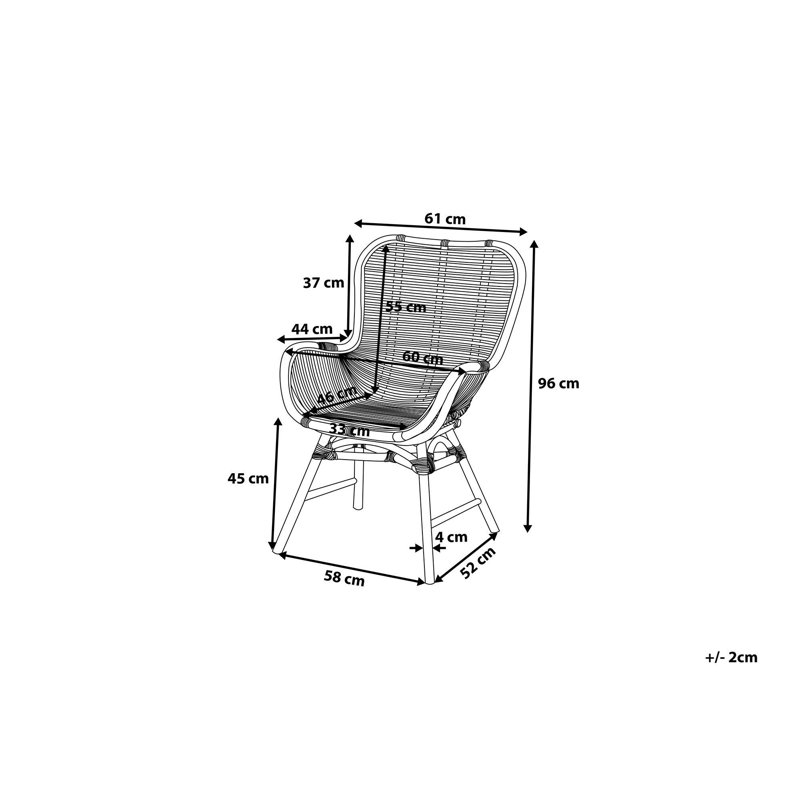 Gaelen Patio Dining Armchair with Cushion, Black