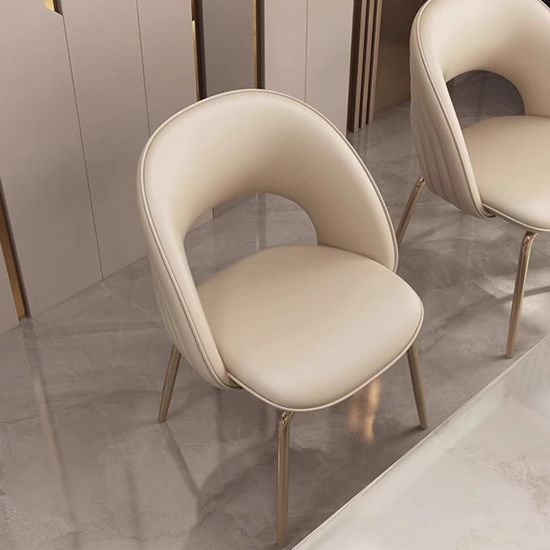 Ensemble de 2 chaises d'appoint rembourrées