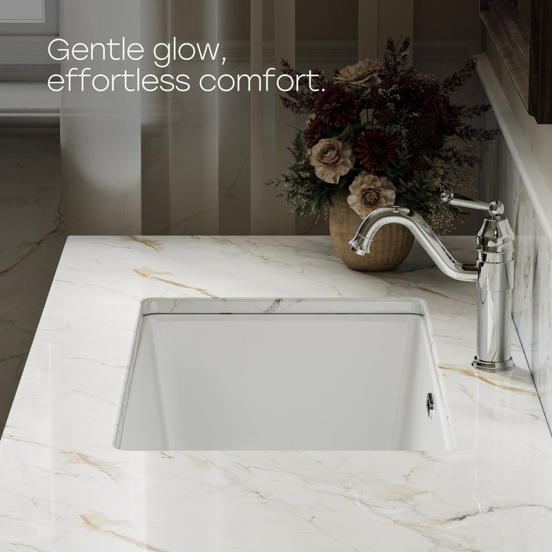  ClarityPure 27.56 in. x 15.75 in. Undermount Bathroom Sink in White Ceramic with Overflow Drain