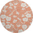 Corail