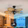 Bay Isle Home™ 52'' Ceiling Fan with LED Lights