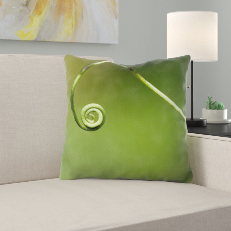Coussin de plante