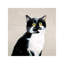 Micheles Bailey - Wrapped Canvas Painting-2069561122