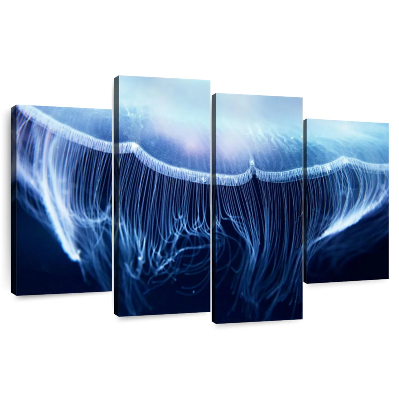 Brampt Glowing Moon Jellyfish, 27" H x 43" W
