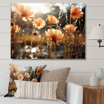 " Mums Field I "