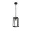 Luminaire suspendu d'extérieur noir 13 po Allson