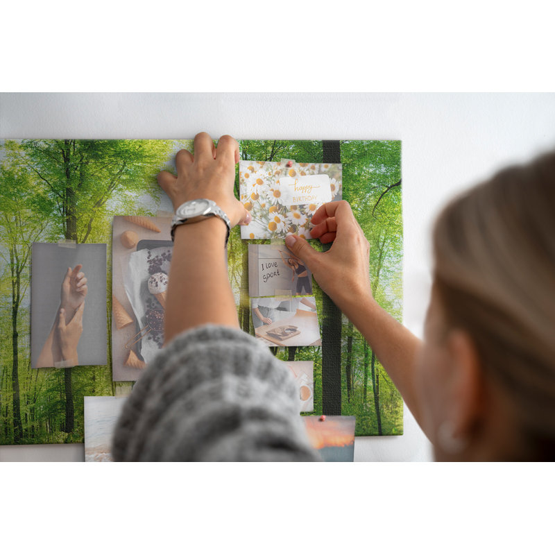 Anilyn Cork Corkboard / Bulletin Board