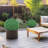2 - Piece Artificial Boxwood Topiary in Set-793060646