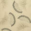 Schumacher x Neisha Crosland Anemone Wallpaper