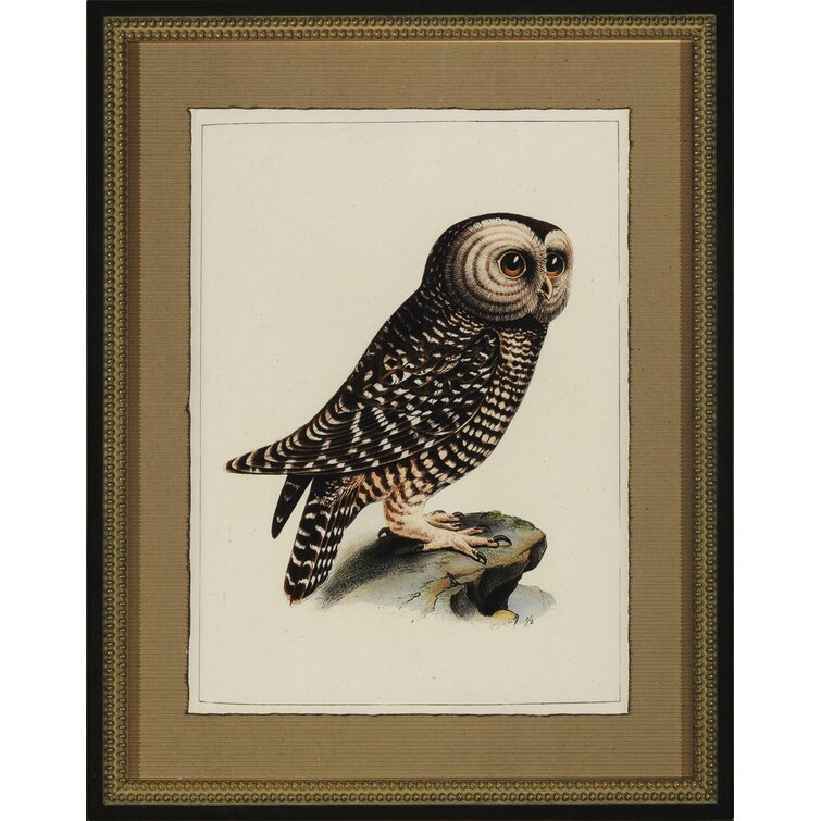 Wendover Art Group Antique Owl I By Wendover Art Group 