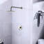 Robinet de douche mural en nickel brossé avec robinet - Configuration robuste en laiton