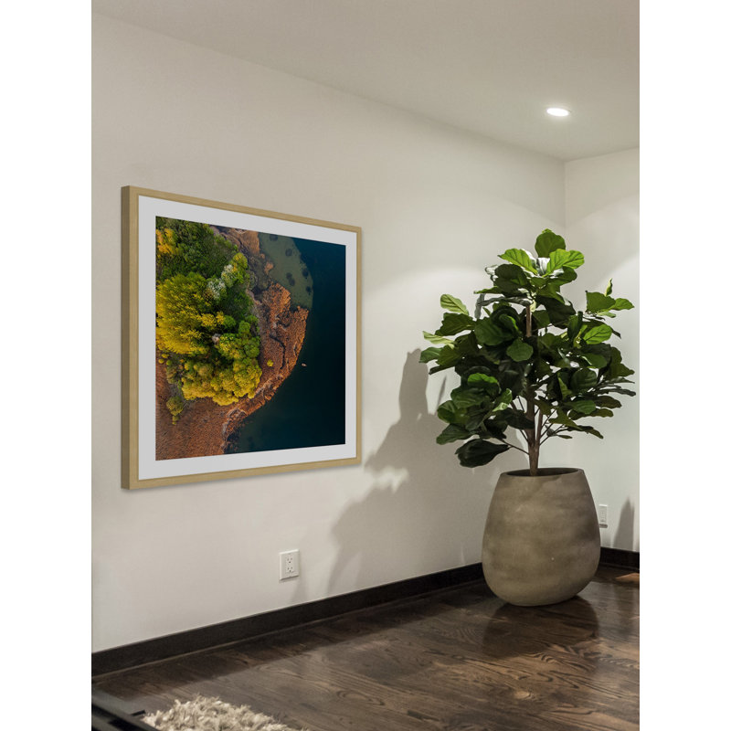 Karolis Janulis - Single Picture Frame Print, 41cm H x 41cm W x 3.81cm D