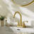 NO 2-handle Bathroom Faucet with Drain Assembly-97618760