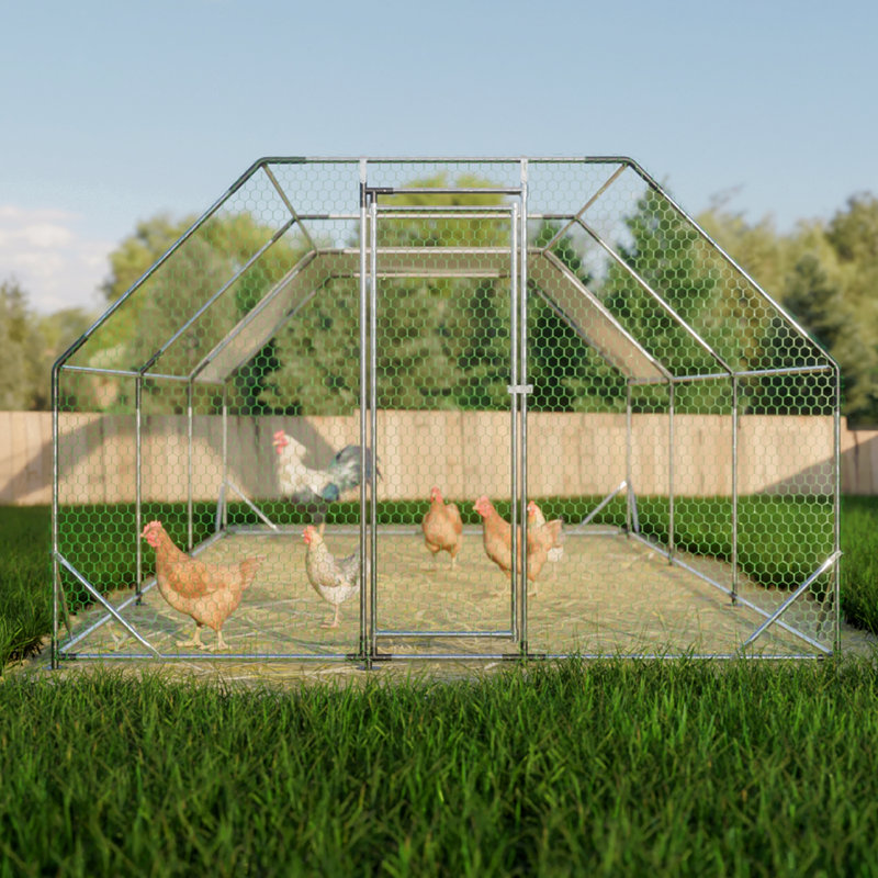 Cage de poulailler en métal galvanisé avec finition et verrouillage sécuritaire X 20 pi. Poulet durable pour poulailler
