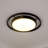 Fishbone Glass Flush Mount
