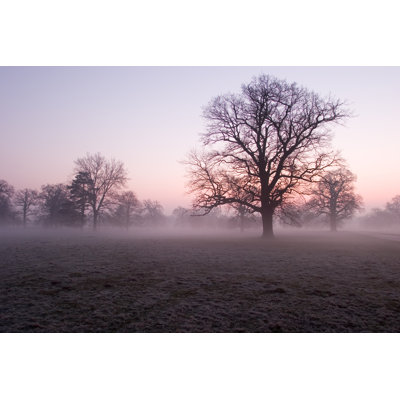 Bushton Early Morning Mist - Wrapped Canvas Print