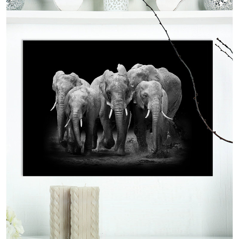 «Group of Elephant on Dark», impression sur toile tendue, H 20 po x l 20 po x P 1 po