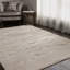 Aurora AU17 Linea Metallic Beige Area Rug-36382505