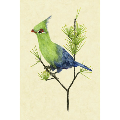 " Green Turaco II " by Melissa Wang Painting Print