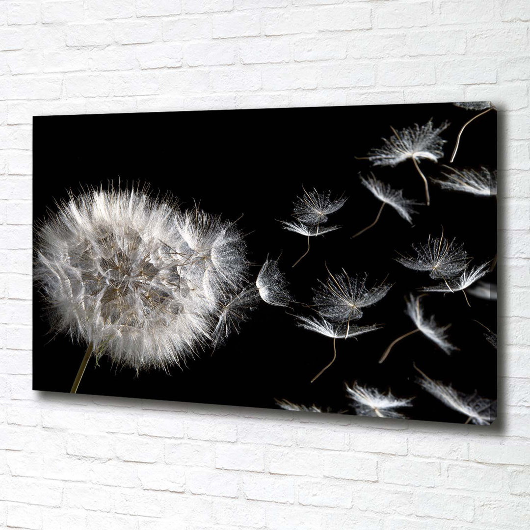 Pusteblume - Kunstdrucke auf Leinwand