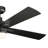 Lija 52'' Ceiling Fan with LED Lights-1542027798