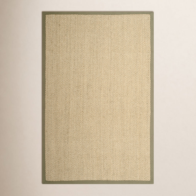 Auckland Jute/Sisal Beige/Green Area Rug, Rectangle 6' x 9'