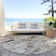 Machine Washable Indoor/Outdoor Claudian ACN1630 Taupe Rug