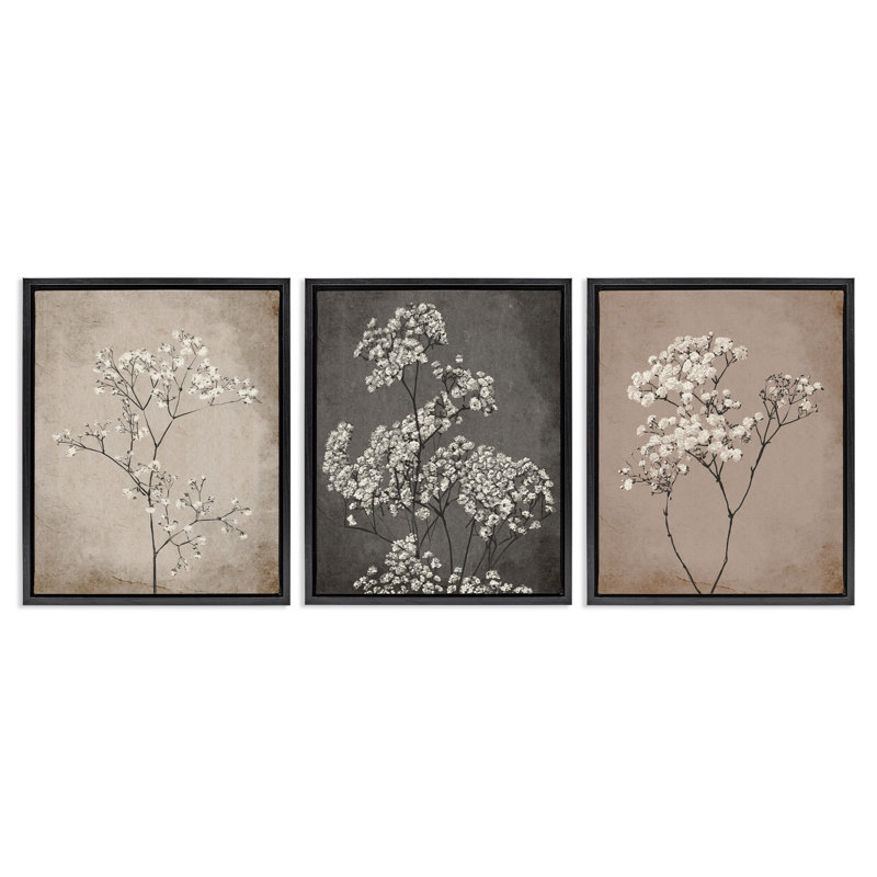 «Botanical Baby's Breath Herbs», ensemble de 3 toiles flottantes encadrées par Ros Ruseva, Cadre flottant noir de jais