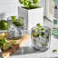 Sorrento 2 Piece 0.28 oz. Glass Glassware Set-73064106