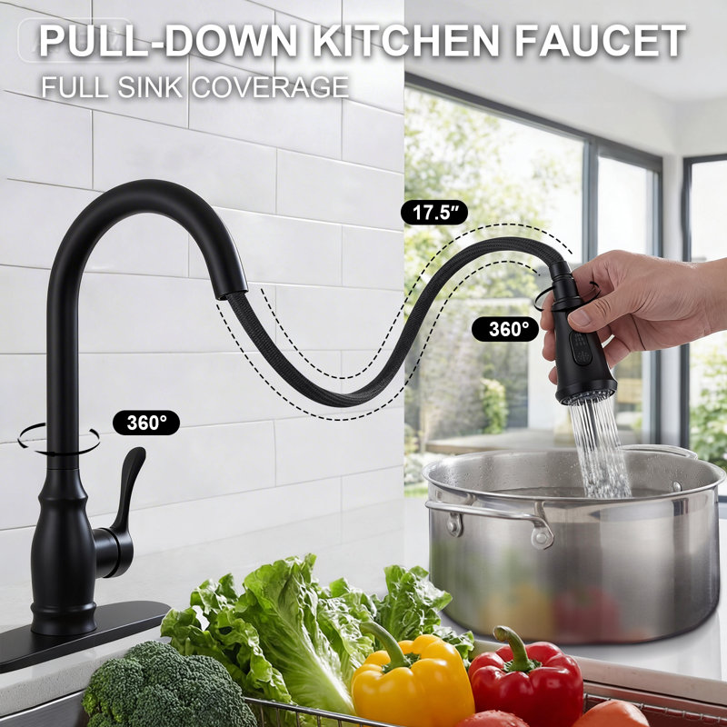 Kitchen Faucet with Pull-Down Sprayer, High Arc Single Handle, 2-Function, Matte Black
