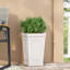 PLANTRE, parfait pour les maisons de tous les climats