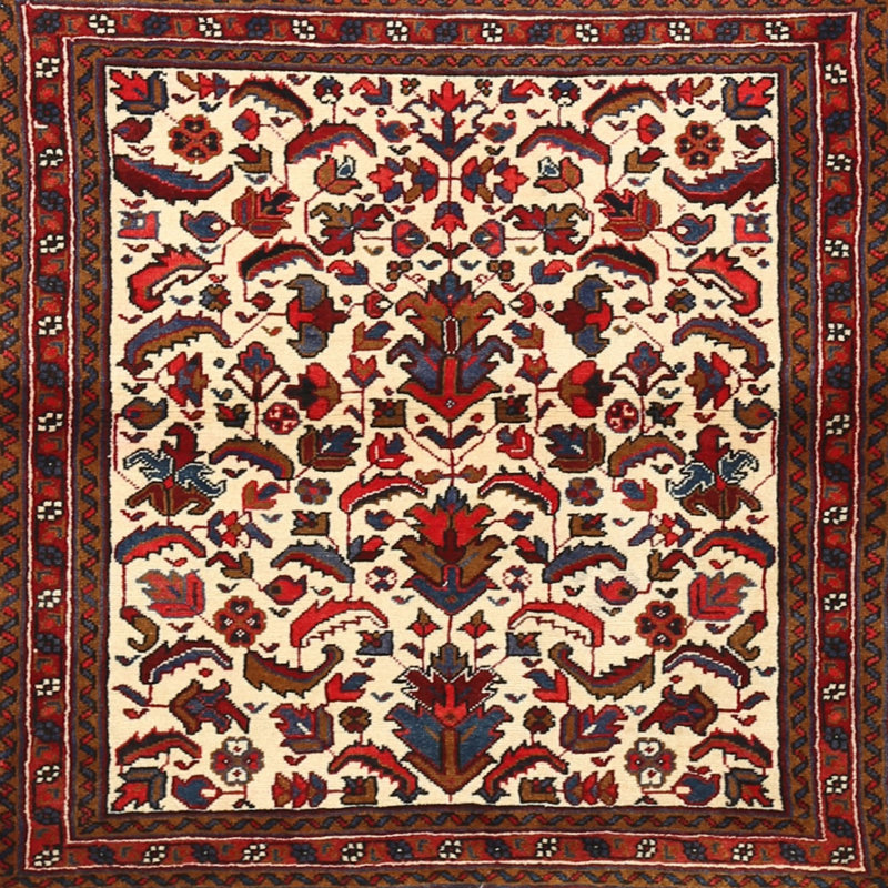 Cathryne Oriental Indoor Rug, Square 6'