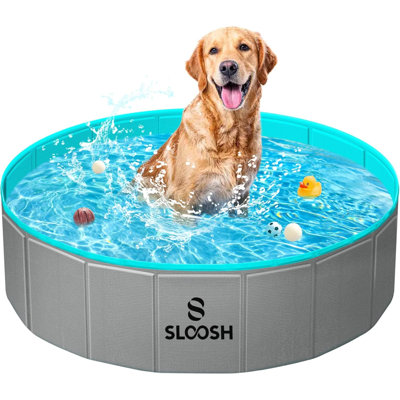 Bassin pliable pour chien