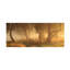Garth Smith  Morning Mist Canvas Art-109226173