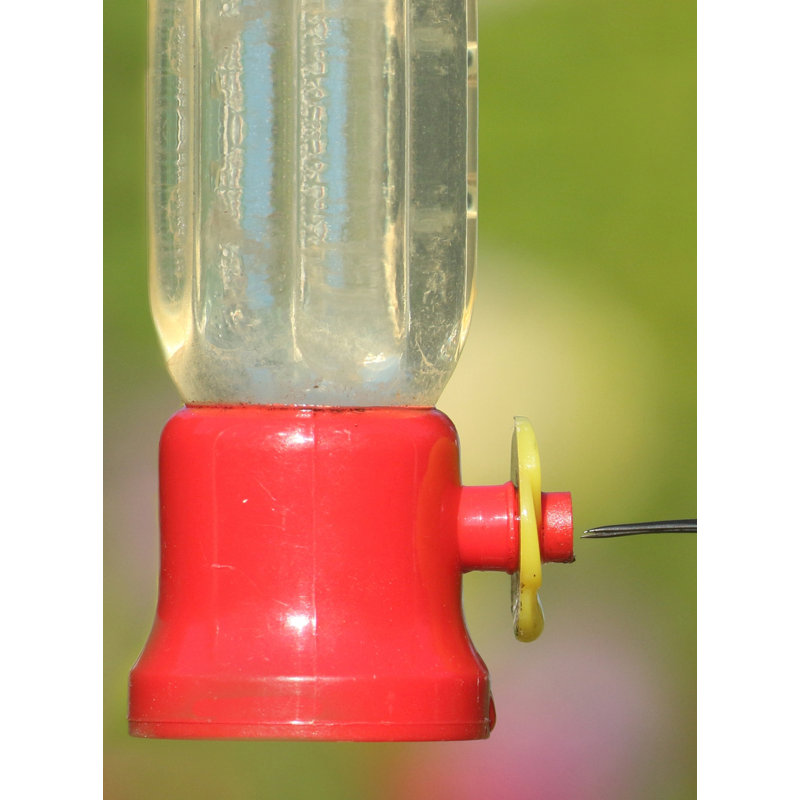 Mangeoire pour colibris Elser