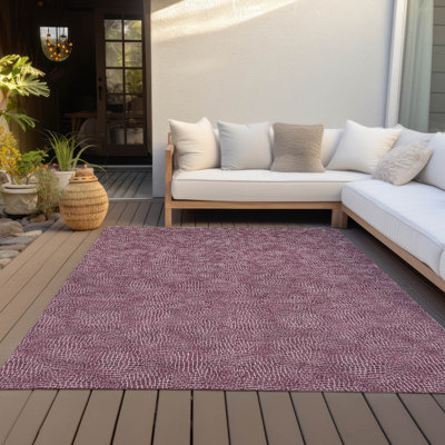 Machine Washable Indoor/Outdoor Chayden ACN1057 Rug