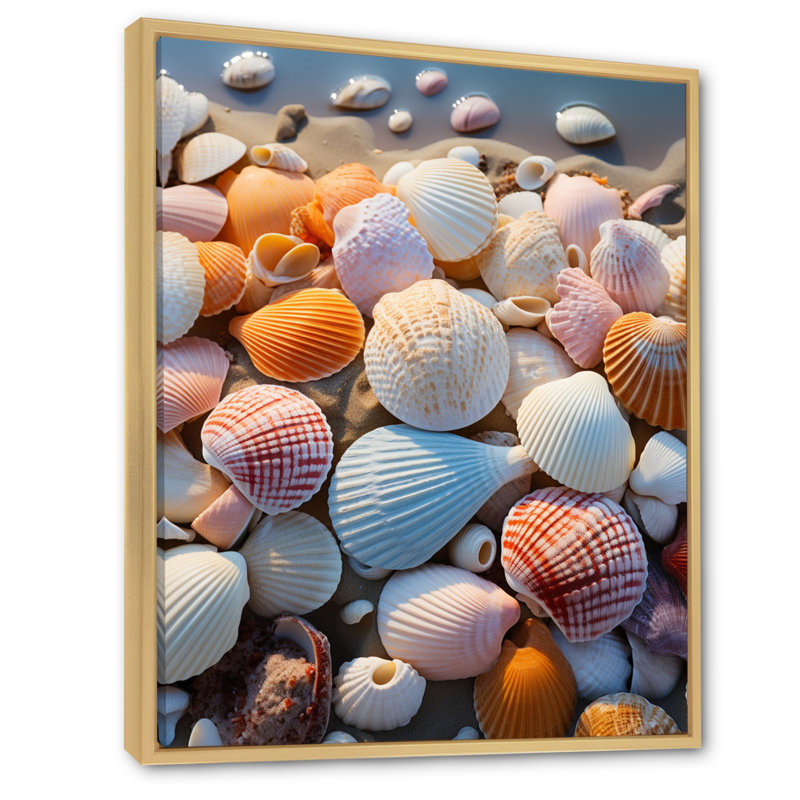 «Beach Photo Sunlit Shells II», reproduction sur toile, L 12 po x H 20 po, Cadre naturel flottant