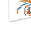 «Crab» par Kadey, impression sur toile-21651555