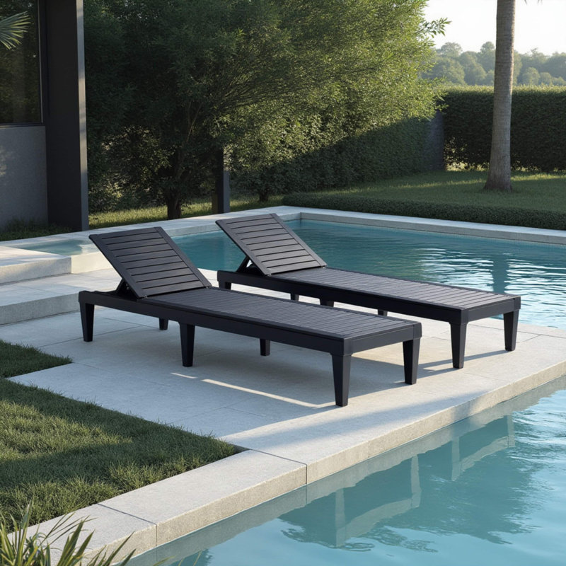 Nestl Black Adjustable Polyresin Outdoor Chaise Lounge Set