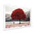White Single Picture Framed