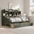 Antique Grey est en rupture de stock
