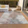 Machine Washable Indoor/Outdoor Cinead ACN1675 Mocha Rug