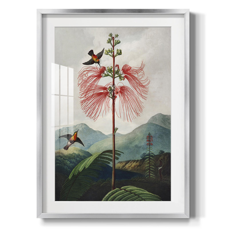 Vivaciously Changing II -Gallery Wrapped Canvas