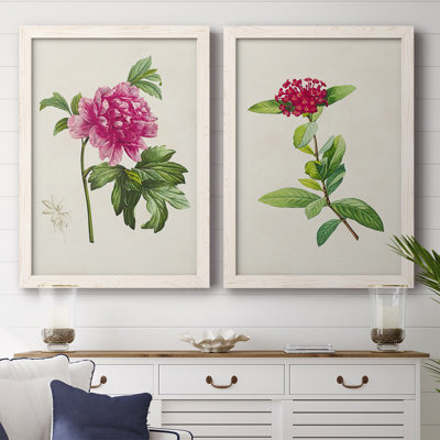 «Pretty Pink Botanicals I», toile encadrée de qualité supérieure - prête à être accrochée
