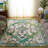 Madison Performance Southwestern Rug-88697811