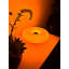 Lampe Glownut-1441382022