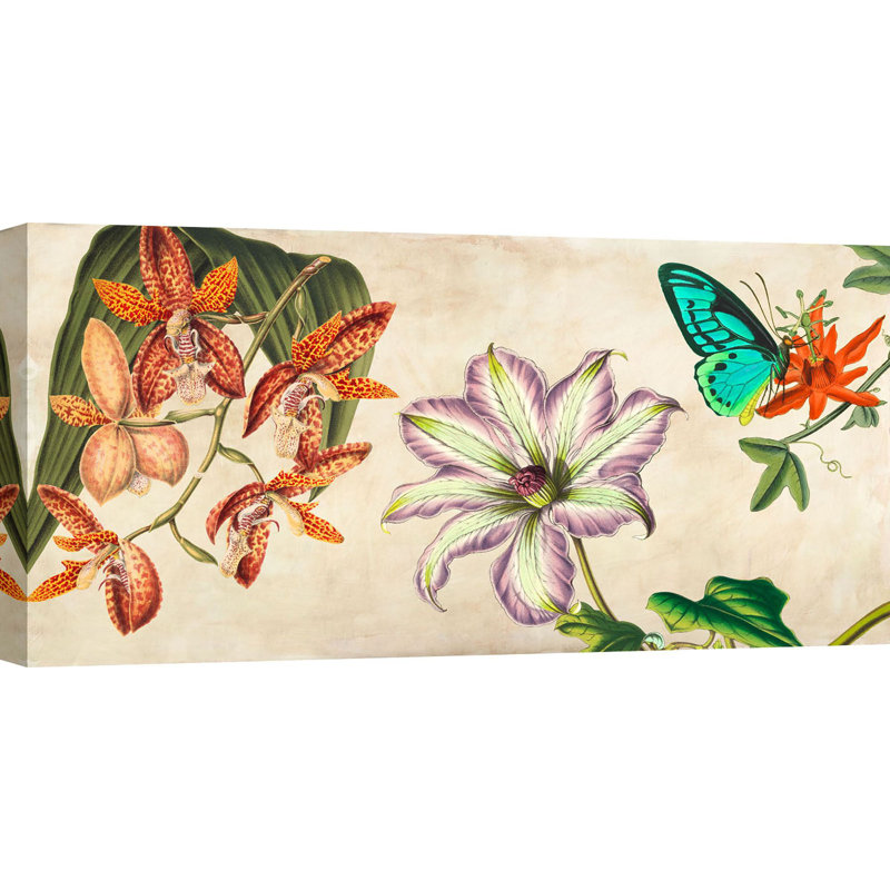 Panneau Botanique 1 Piece Wrapped Canvas Wall Art, 35cm H x 70cm W x 4cm D