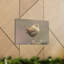 Art mural majestueux Wren-186476427
